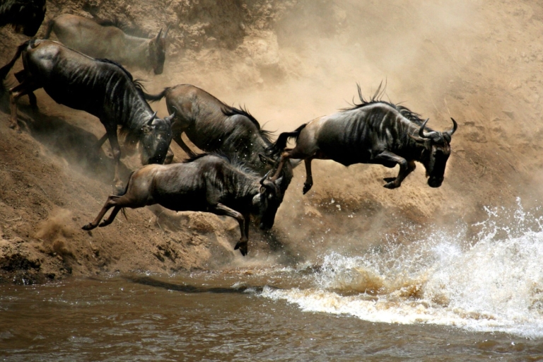Kenya : 9 jours de safari dans le Masaai MaraKenya : 9 jours de safari dans le Maasai Mara