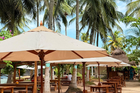 Cartagena: Palmarito Beach Day Trip with Lunch & Drinks