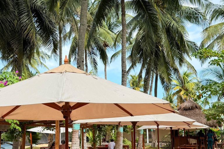 Cartagena: Palmarito Beach Day Trip with Lunch & Drinks