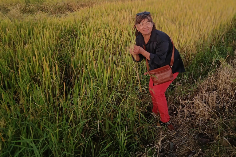 Battambang: Full-Day Tour with Hotel Pickup
