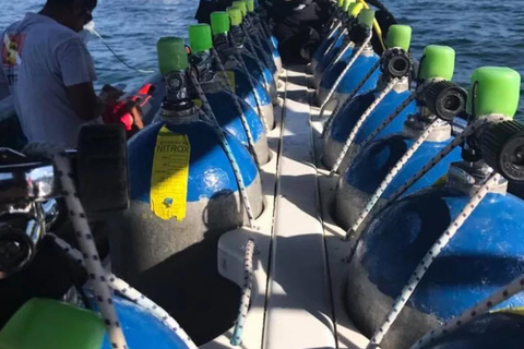 Le meraviglie oceaniche di Gedda: Immergiti nel Mar Rosso