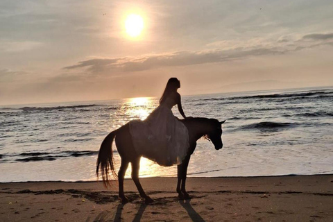 Seminyak: Bali Horse riding Adventure Seminyak Beach 1 Hour ride (meet at meeting point)