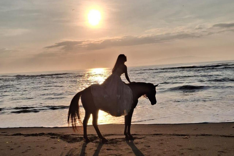 Seminyak: Bali Horse riding Adventure Seminyak Beach 1 Hour ride (meet at meeting point)