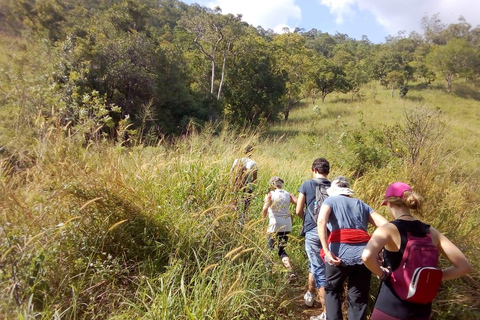 Esplora le cascate iconiche di Ella con un&#039;avventura panoramica in tuk-tuk