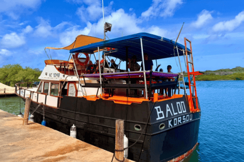 Curacao: Blue Room Cave and Turtles Boat Trip with Pizza