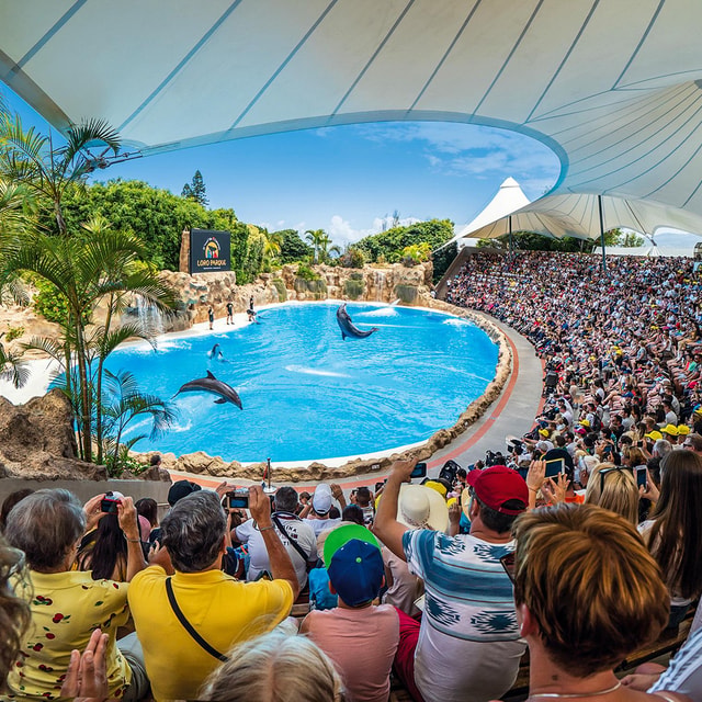 Tenerife: Loro Parque Entry Ticket