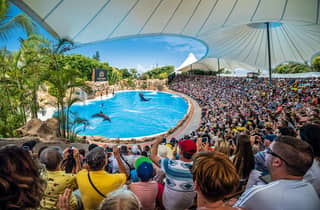 Teneriffa: Loro Parque Entry Ticket