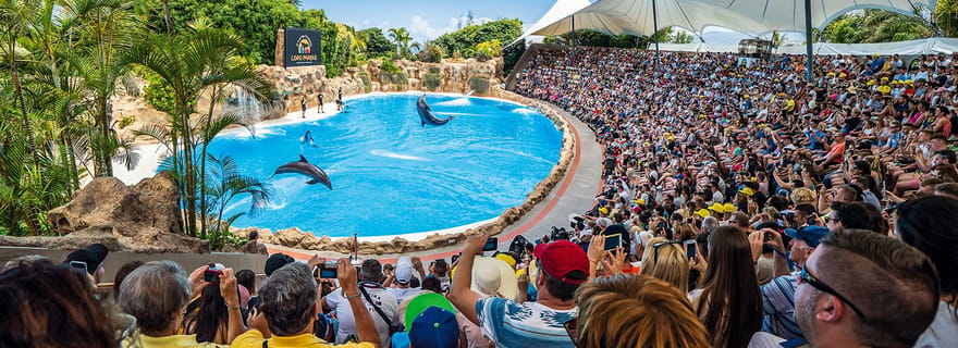 Tenerife: Biglietto d'ingresso al Loro Parque