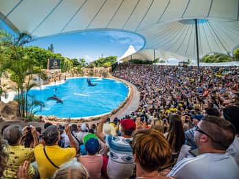 Teneriffa: Loro Parque Entry Ticket