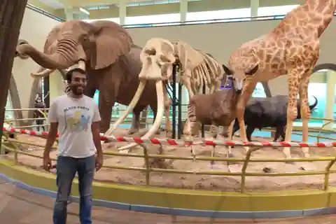 Traslado al aeropuerto