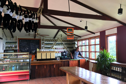 San José: La Fortuna Transfer with Coffee Tour at Doka Farm