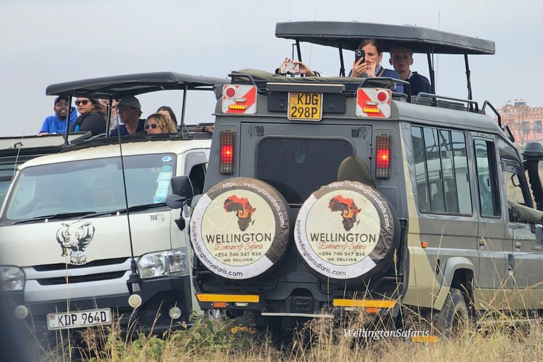 5 Hours Nairobi National Park Game Drive Tour in 4x4 Vehicle Private Guided Tour 4x4 Van