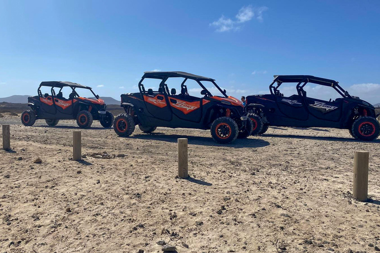 Buggy 4 pazes Corralejo Fuerteventura