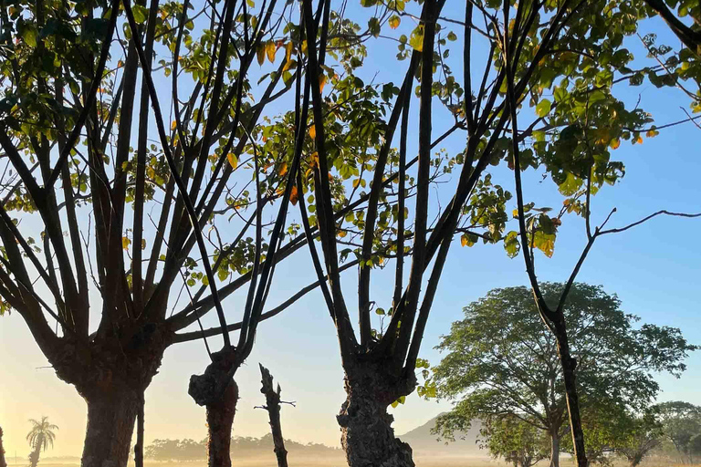 جولة بالدراجات الجبلية في ديفيد، شيريكي، بنما