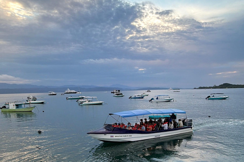 Puerto Jiménez: Corcovado and Bioluminescence in Golfo Dulce