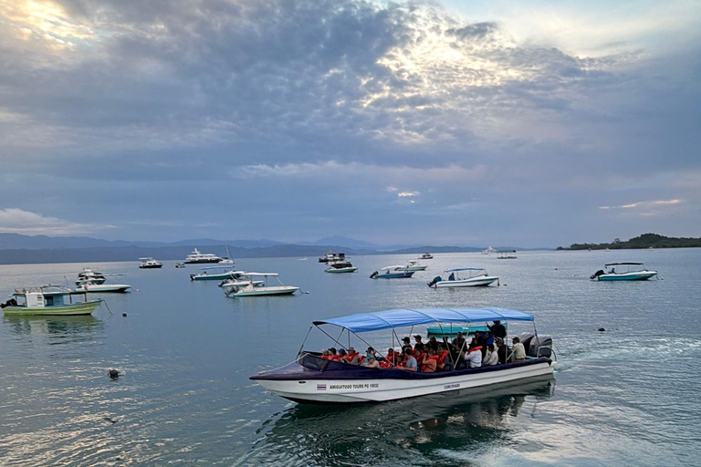 Puerto Jiménez: Corcovado and Bioluminescence in Golfo Dulce