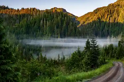 Ketchikan Backcountry Adventure: SUV Tours in the Tongass