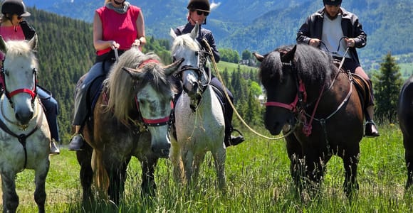 Zakopane: 6-Hour Tatra Mountains Horse Ride & Thermal Baths