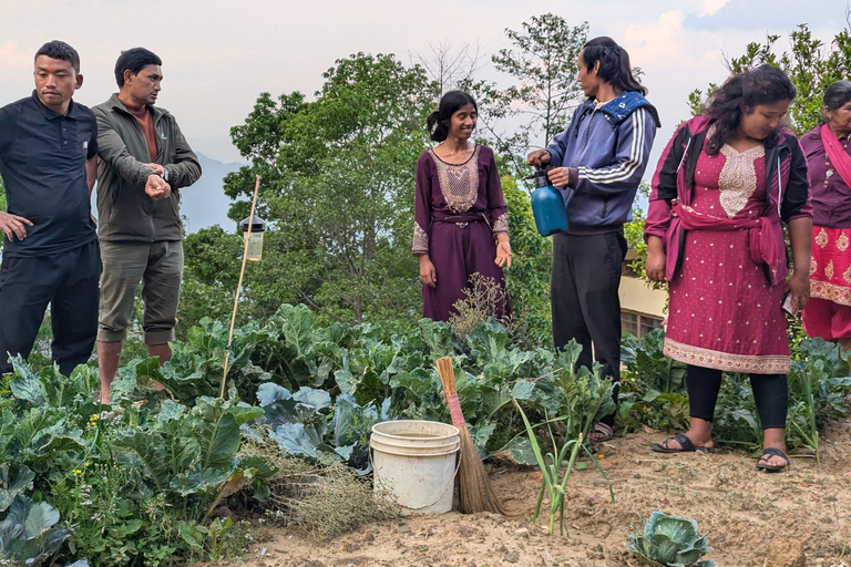 From Kathmandu: Patlekhet Permaculture Organic Farm Tour