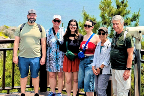 Busan Highlights: Small-Group Day Tour with Local Guide