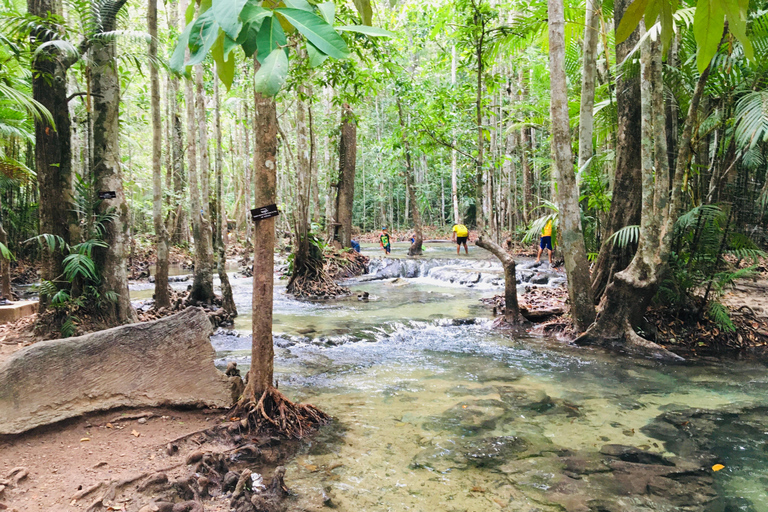 Krabi: gita di mezza giornata alla piscina color smeraldo e alle cascate delle sorgenti termali