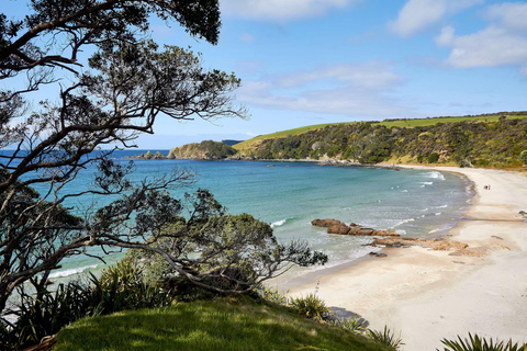 From Auckland: Kiwi Wilderness Experience Guided Tour
