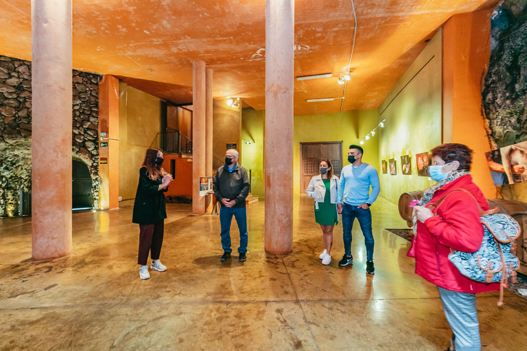 Tacoronte: Tour guidato della cantina con degustazione di vino e formaggioTacoronte: tour guidato di una cantina con degustazioni