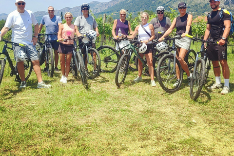 Rural biking & wine tasting tour