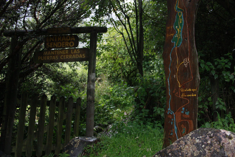 From Quito: Papallacta Trekking & Volcanic Hot Springs