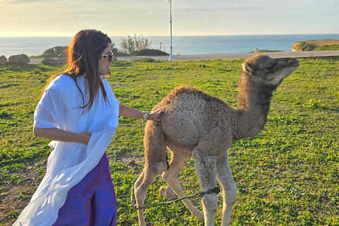 Tangier: 6 hours Private Tour with Driver and Official Guide