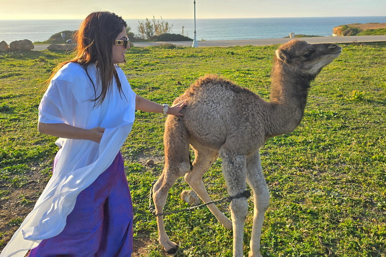 Tangier: 6 hours Private Tour with Driver and Official Guide