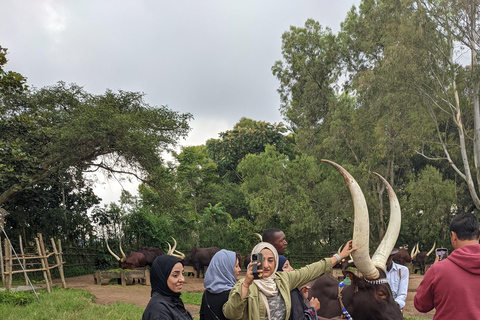 Dagtour koningspaleis en etnografisch museum