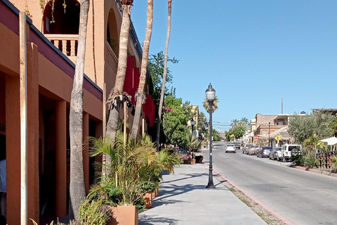 Tour Todos Santos Magical Town, Hotel California