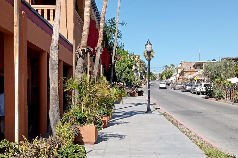 Tour Todos Santos Magical Town, Hotel California