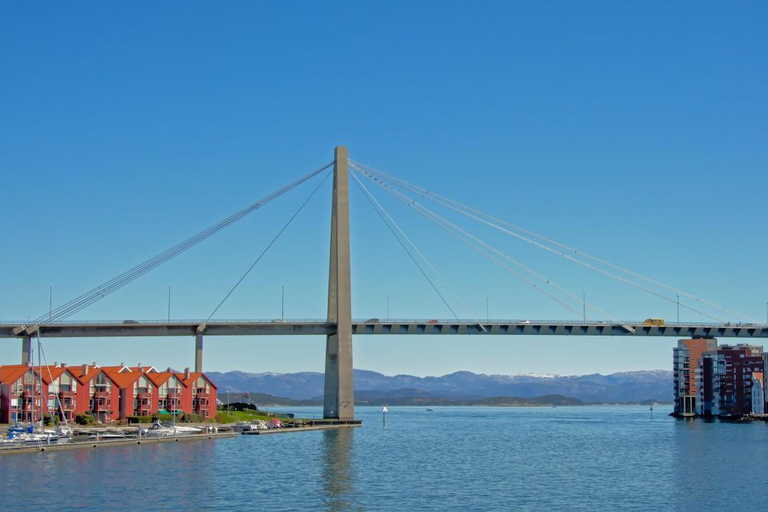 Excursão de minibus ao Lysefjord e safari de lancha opcionalPasseio de minibus pelo Lysefjord