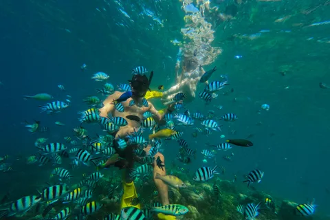 Lombok: Gili Nanggu, Sudak, & Gili Kedis Private Snorkeling