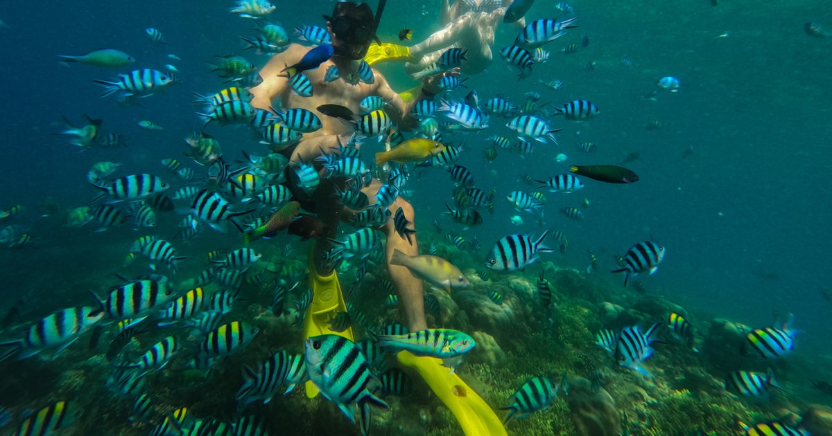 Lombok: Gili Nanggu, Sudak, & Gili Kedis Private Snorkeling | GetYourGuide