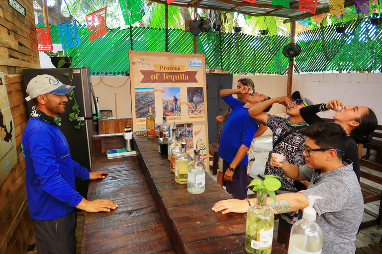 Visite de la ville et des tacosVisite de la ville et des tacos au départ de Playa del Carmen