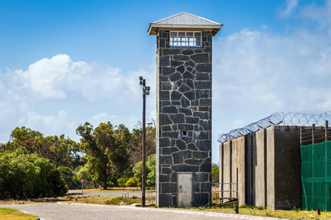 Cape Town: Robben Island Ticket with Ferry & Transfers