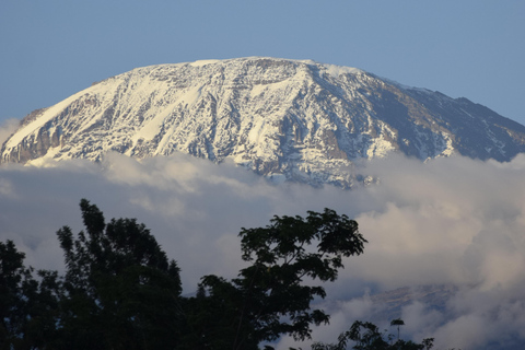 Tanzania: 8-Day Road Trip to Kilimanjaro, Lushoto & More