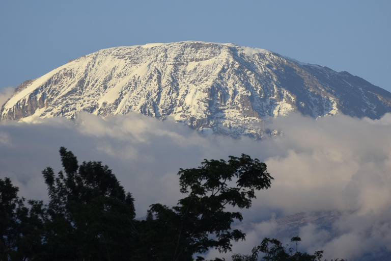 Tanzania: 8-Day Road Trip to Kilimanjaro, Lushoto & More