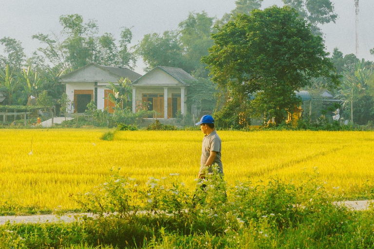 Hanói: salsa de soja, pueblo de los vermicelli y pagoda Thang NghiemTour privado: pueblo de la salsa de soja, pagoda, pueblo del incienso y sombreros