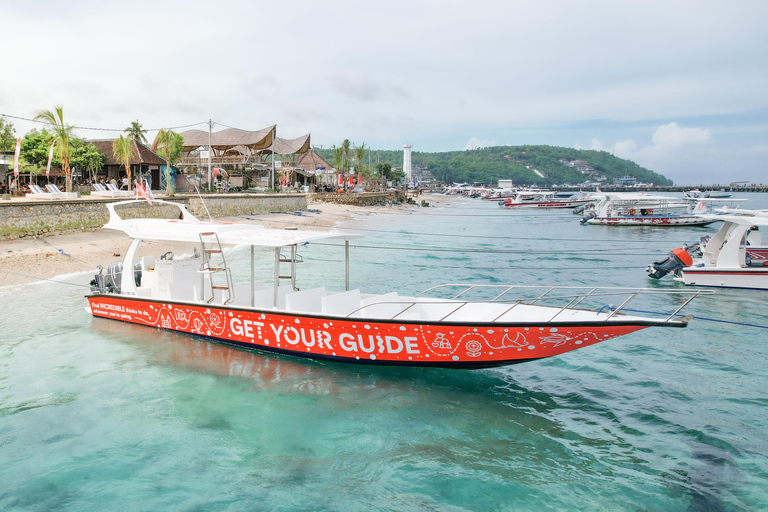 Bali: Private Snorkeling at Manta Point Nusa Penida Round Transfer Bali Island
