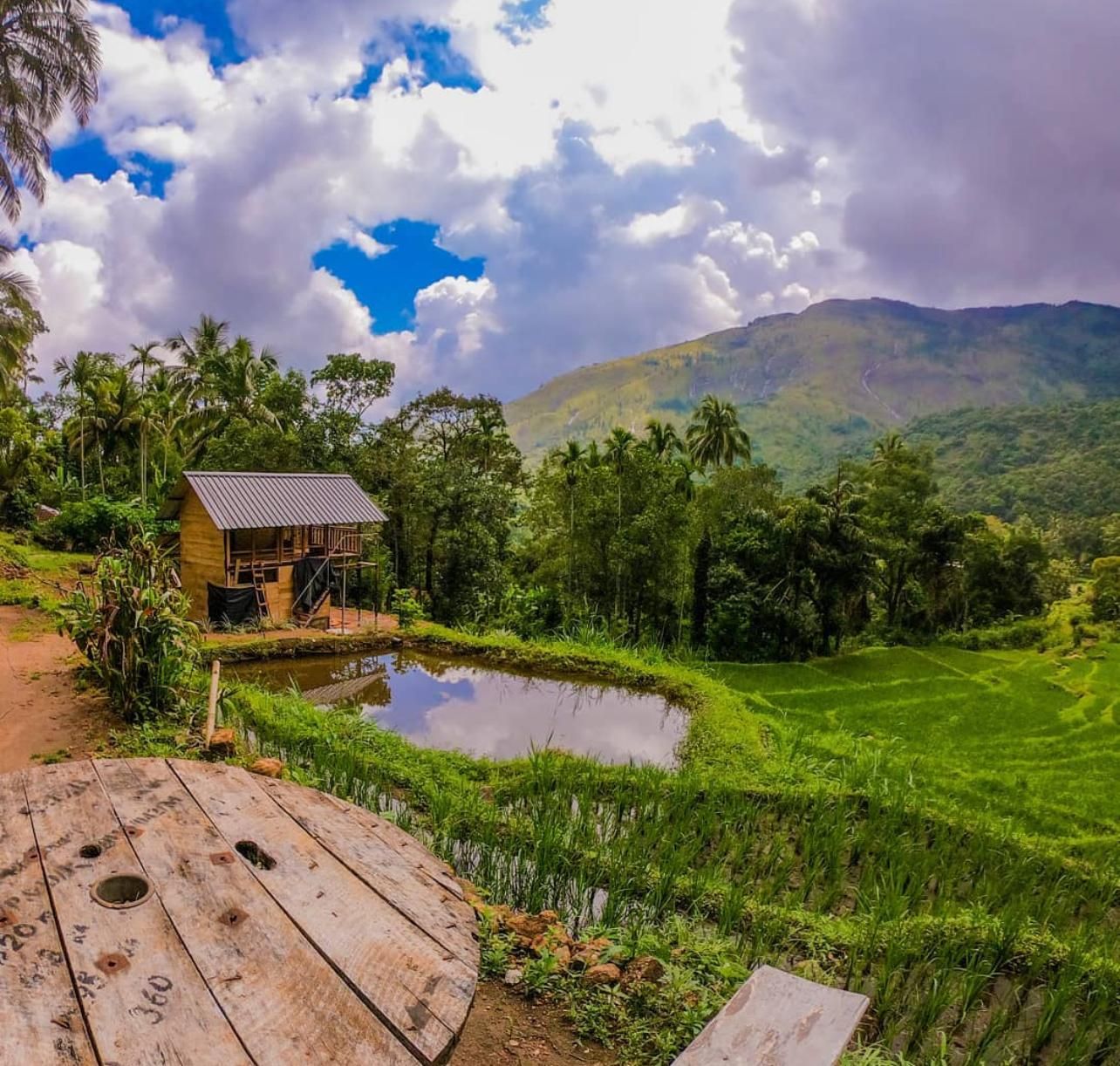 Von Kandy nach Belihuloya: Tagestour mit Safari, Wasserfällen und Bergen