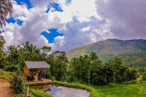Ella to Belihuloya Safari Day Tour Hidden Nature Escape
