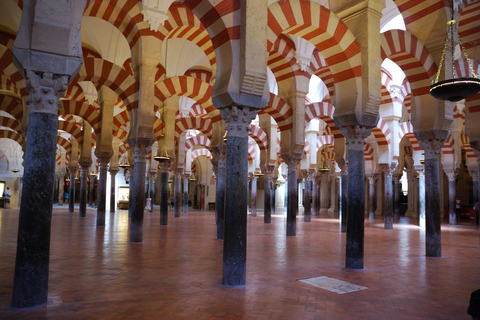 Mezquita 1 timme privat tur