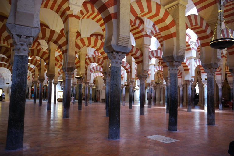 Visite privée d&#039;une heure de la Mezquita