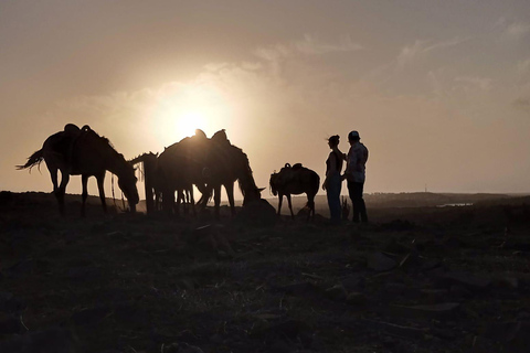 Giro panoramico al tramonto di Aruba