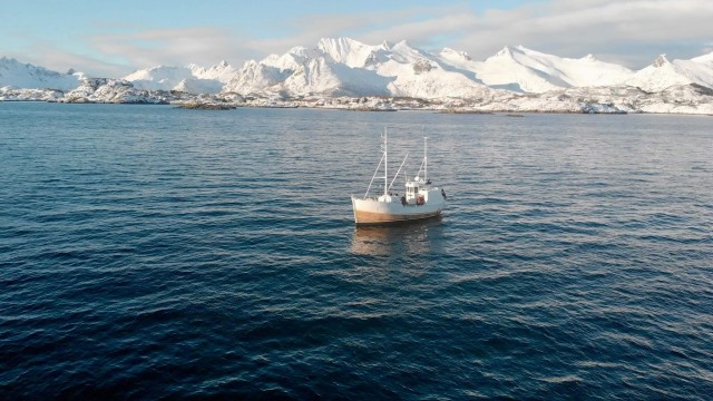 Visit Svolvær Fishing Trip on the Lofoten Sea in Svolvær, Noruega