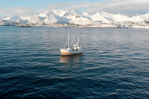 Svolvær : Voyage de pêche dans la mer de Lofoten